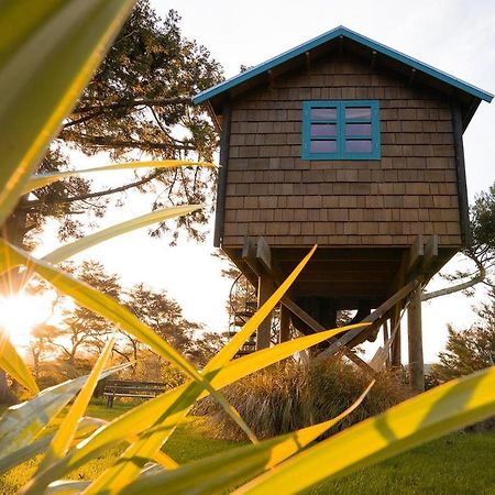Tui Ridge Eco Cabins Aongatete Zewnętrze zdjęcie