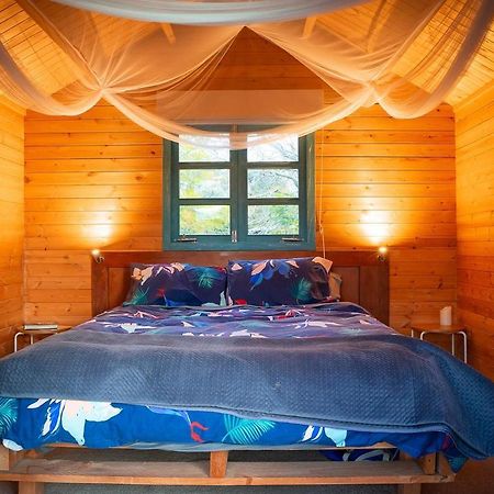 Tui Ridge Eco Cabins Aongatete Zewnętrze zdjęcie