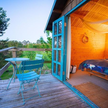 Tui Ridge Eco Cabins Aongatete Zewnętrze zdjęcie