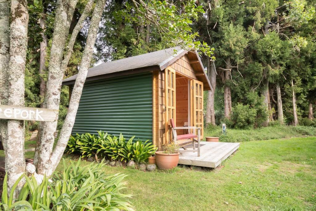 Tui Ridge Eco Cabins Aongatete Zewnętrze zdjęcie
