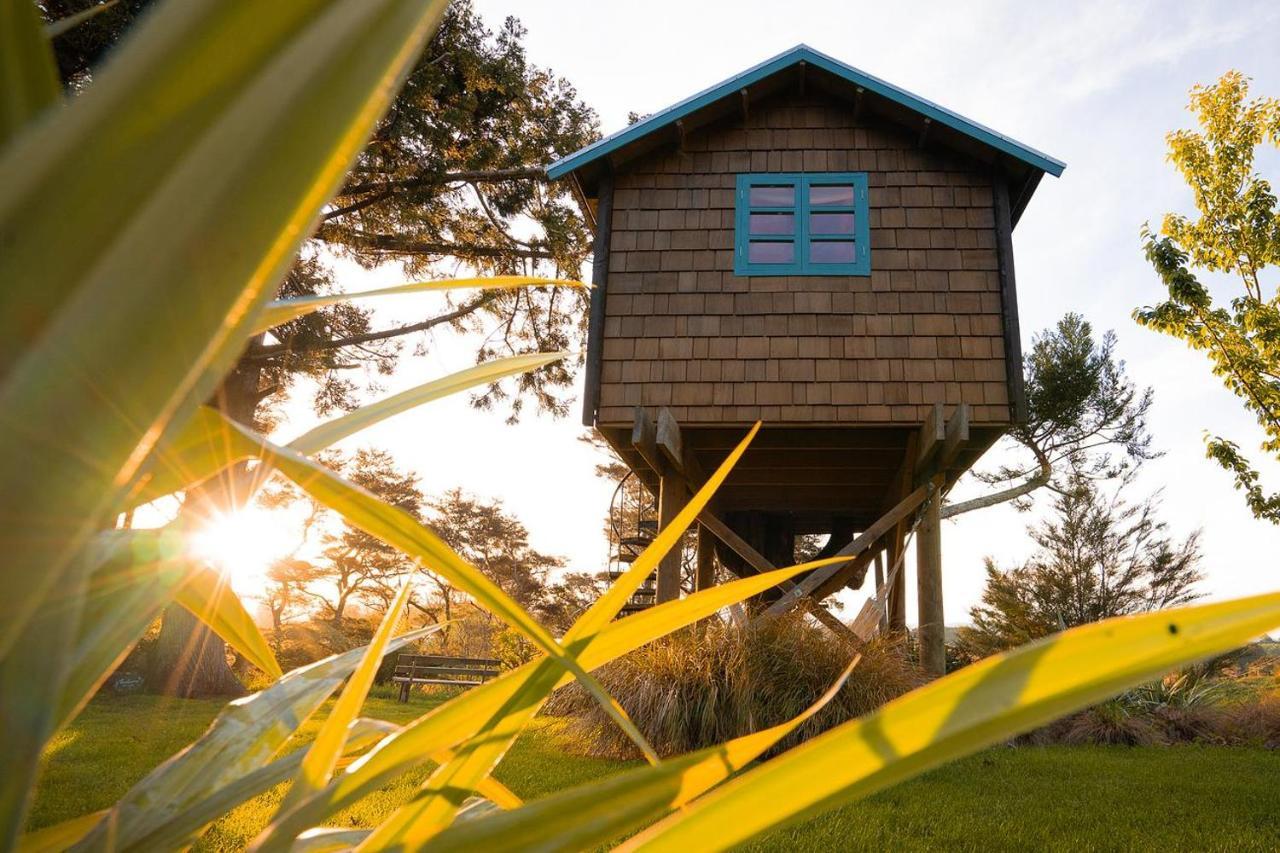Tui Ridge Eco Cabins Aongatete Zewnętrze zdjęcie