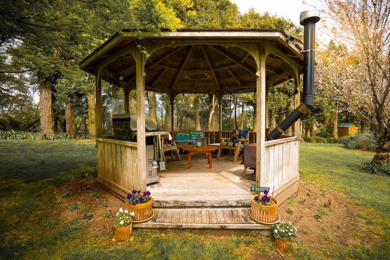 Tui Ridge Eco Cabins Aongatete Zewnętrze zdjęcie