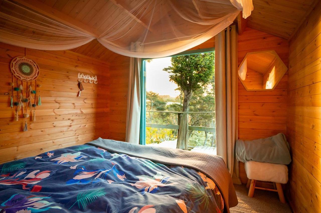 Tui Ridge Eco Cabins Aongatete Zewnętrze zdjęcie