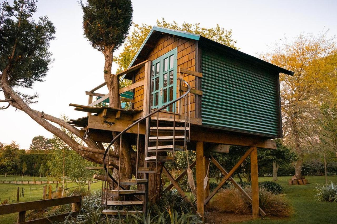 Tui Ridge Eco Cabins Aongatete Zewnętrze zdjęcie