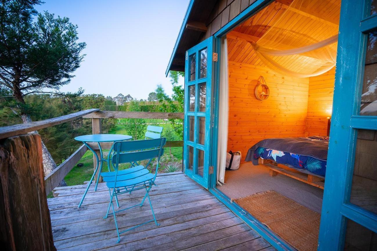 Tui Ridge Eco Cabins Aongatete Zewnętrze zdjęcie