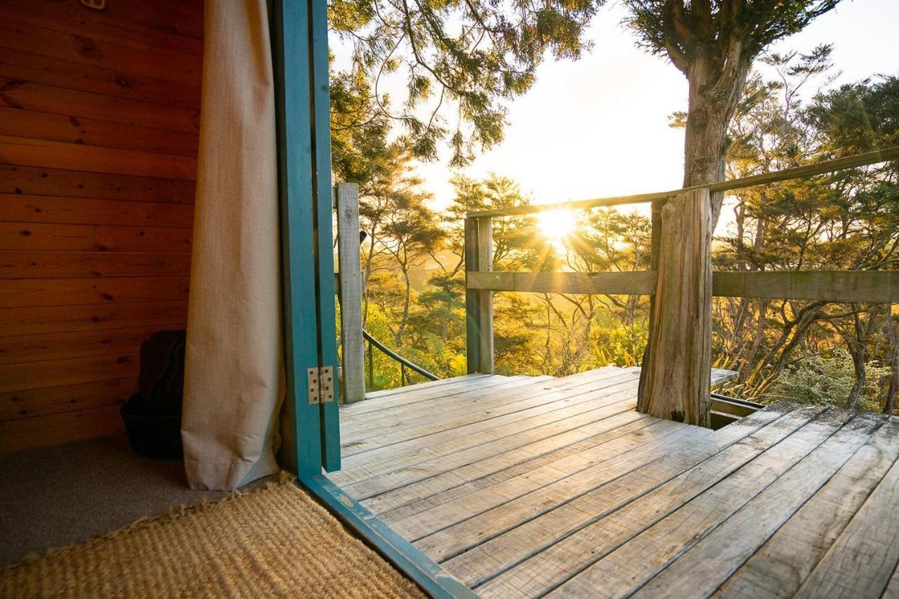 Tui Ridge Eco Cabins Aongatete Zewnętrze zdjęcie