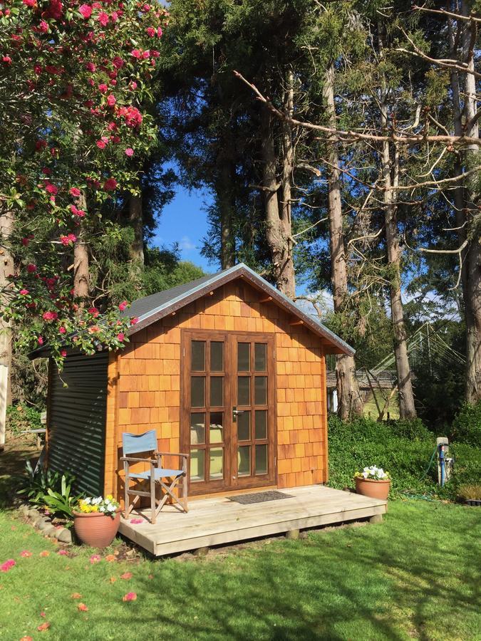 Tui Ridge Eco Cabins Aongatete Zewnętrze zdjęcie