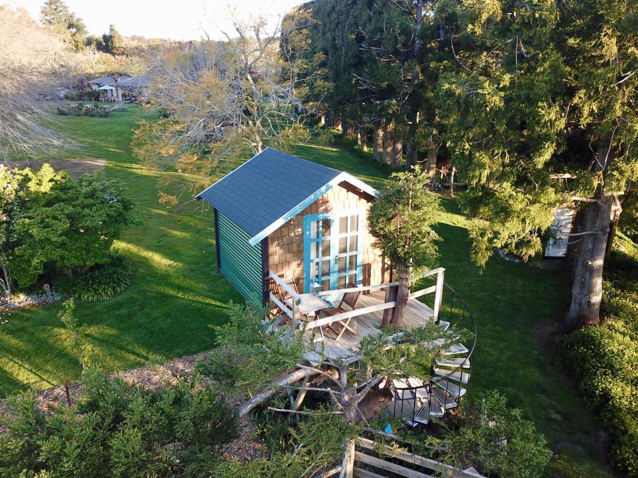 Tui Ridge Eco Cabins Aongatete Zewnętrze zdjęcie
