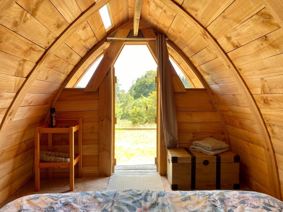 Tui Ridge Eco Cabins Aongatete Zewnętrze zdjęcie