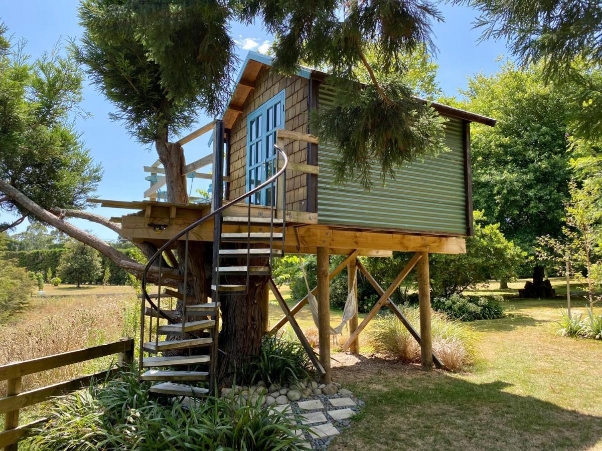 Tui Ridge Eco Cabins Aongatete Zewnętrze zdjęcie