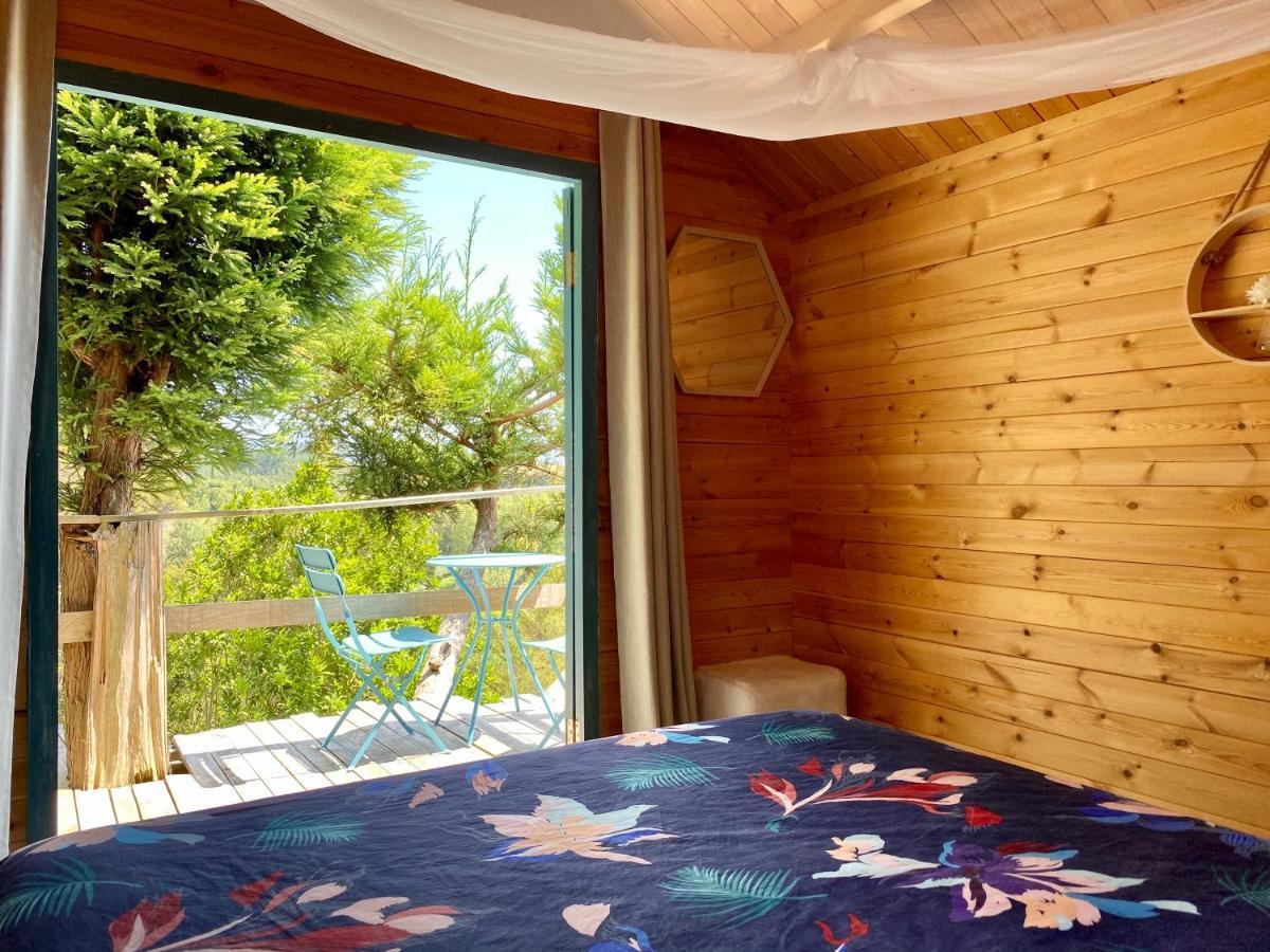 Tui Ridge Eco Cabins Aongatete Zewnętrze zdjęcie