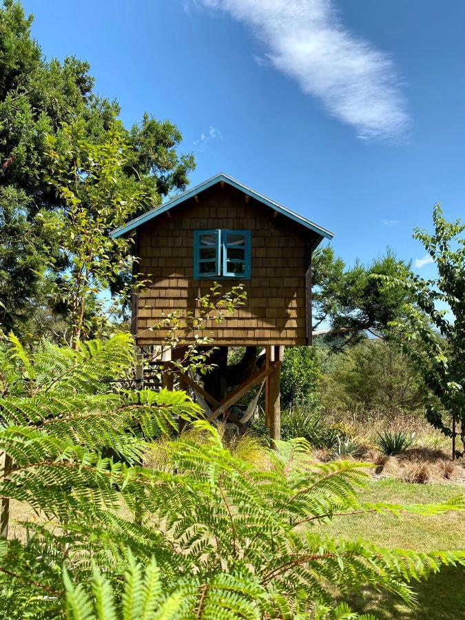Tui Ridge Eco Cabins Aongatete Zewnętrze zdjęcie