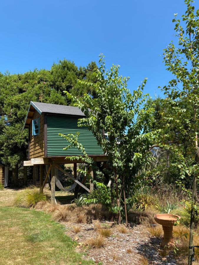 Tui Ridge Eco Cabins Aongatete Zewnętrze zdjęcie