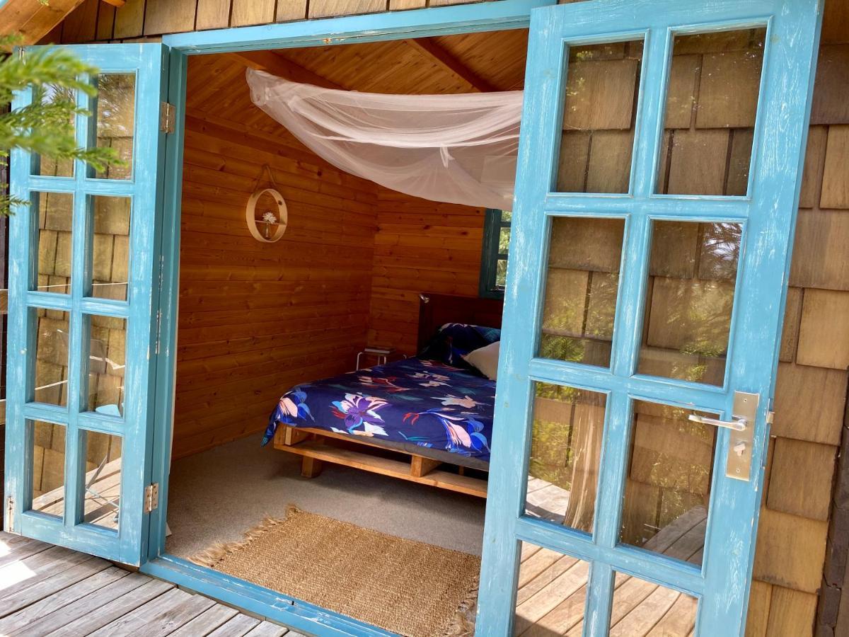 Tui Ridge Eco Cabins Aongatete Zewnętrze zdjęcie
